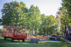 Visitors will find a sampling of fall flavors with an array of apple and pumpkin pastries at the festivals. 